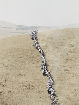 Francis Alÿs. Untitled, from When Faith Moves Mountains. 2002.© 2011 Francis Alÿs  