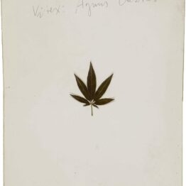 No sólo Land Art: el arte y la tierra que pisamos