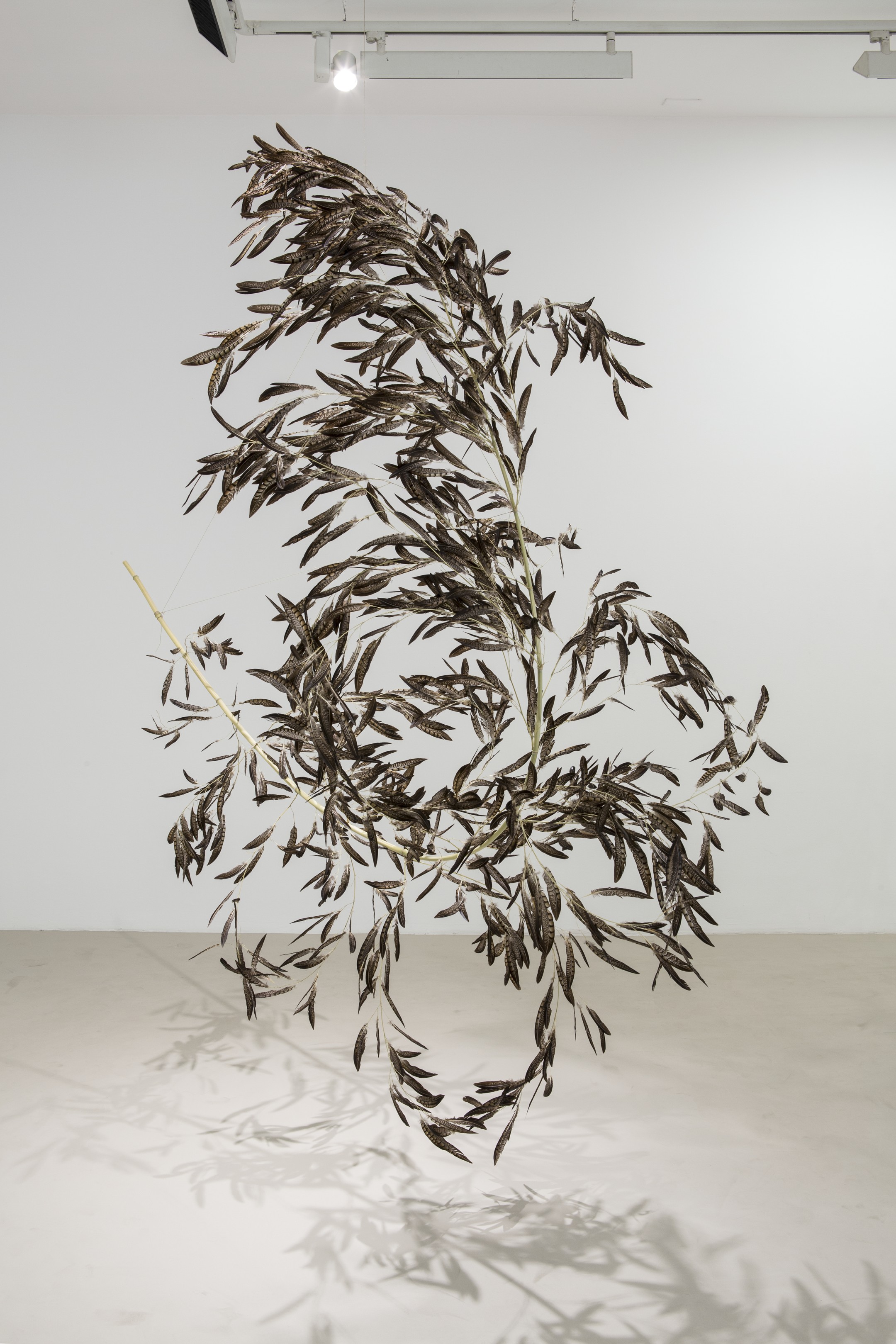 Gabriel Orozco. Roiseau 6, 2012. Cortesía del artista y Galerie Chantal Crousel, Paris © Gabriel Orozco, Bilbao 2025 Fotografía: Florian Kleinefenn