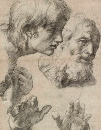 Rafael Sanzio. Estudio de cabezas y manos de dos Apóstoles, 1515-1520