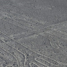Geoglifo de Nazca (Perro o camélido)