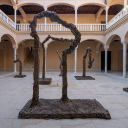 Miquel Barceló. "Metamorfosis". Museo Picasso Málaga