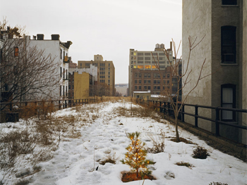 Joel Sternfeld, Ken Robson's Christmas Tree, January 2001©. Cortesía del artista, Luhring Augustine, New York and The Friends of the High Line, New York. 
