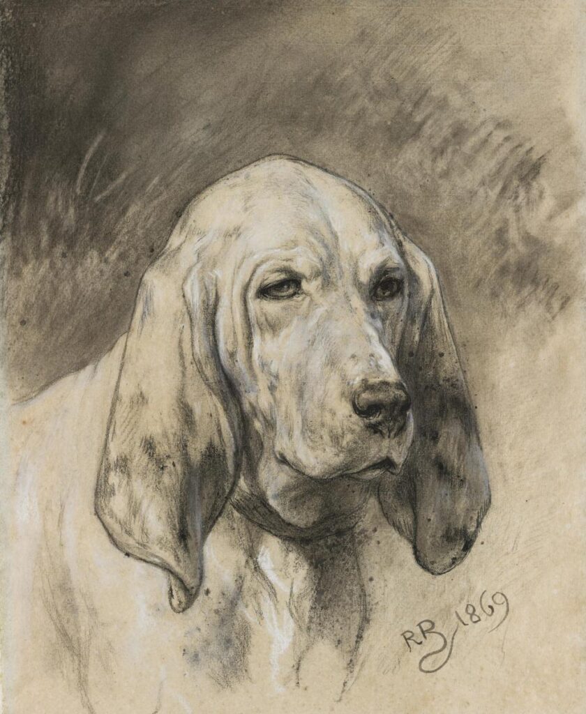 Rosa Bonheur. Étude de chien © Musée des Beaux-Arts,Fotografía: F. Deval