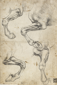 Leonardo da Vinci. Estudios de patas de caballos, hacia 1490-1492. Museo de Bellas Artes de Budapest