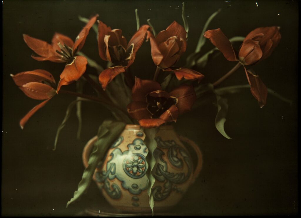 Francesc Carrera Bou. Jarrón con flores, hacia 1922-1926. Museu Nacional d'Art de Catalunya, Barcelona. D epósito de Víctor Carrera, 2006 © Museu d’Art de Catalunya, Barcelona, 2025 