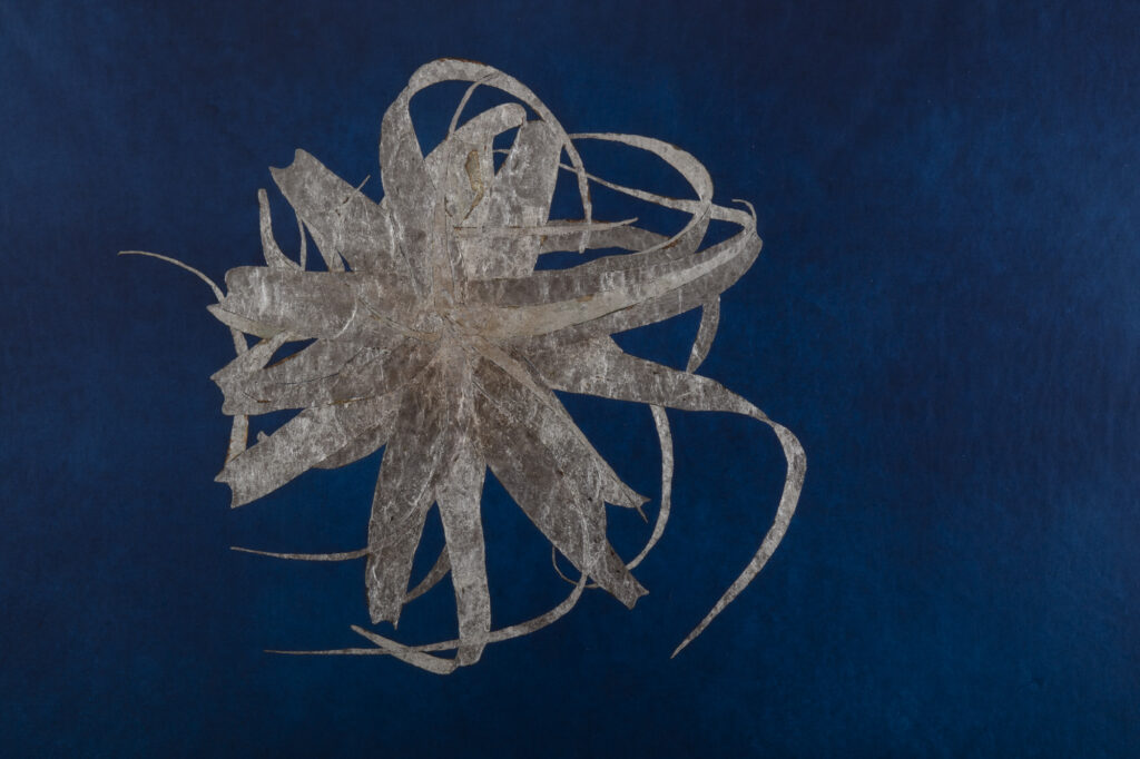 Tura Sanglas. El múltiple ojo de la noche II, 2020. Cortesía de la artista