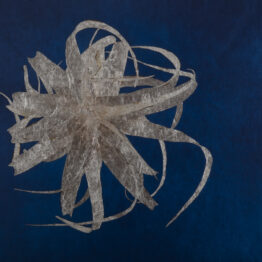 Mercè Rodoreda, la inocencia y sus contrarios