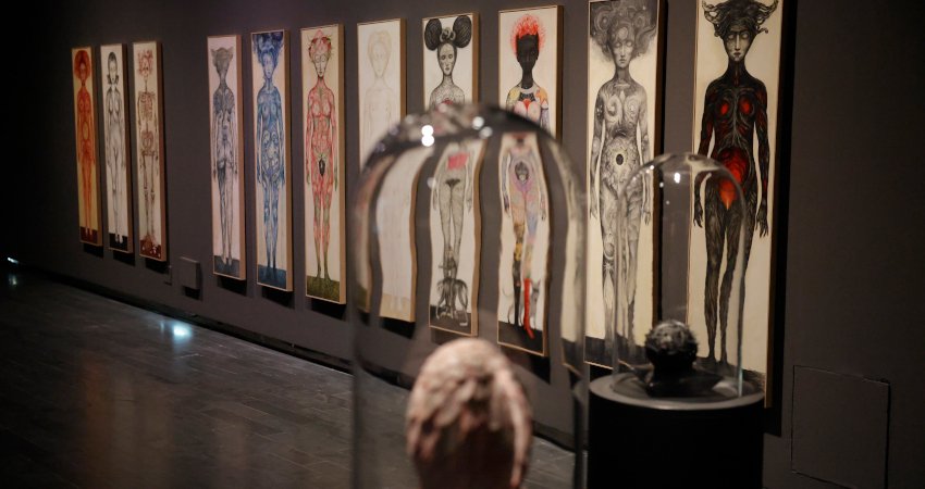 Ana Juan. Wunderkammer. CentroCentro, 2025