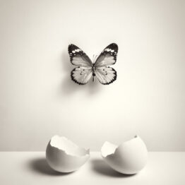 Chema Madoz y lo real maleable