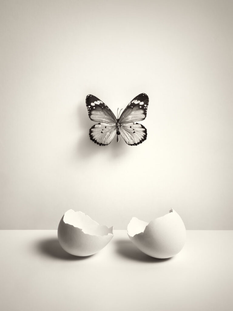Chema Madoz. Sin título, 2025
