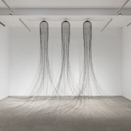 Pepe Espaliú, Sin título (Tres jaulas),1992. Museo Reina Sofía. Fotografía: Roberto Ruiz. © Pepe Espaliú, VEGAP, Madrid, 2026
