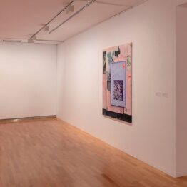 Francisco Mayor Maestre. Cuidado con el perro. Domus Artium 2002