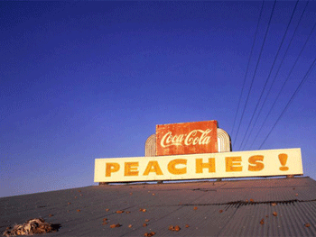 William Eggleston. Untitled (Peaches!), 1970 