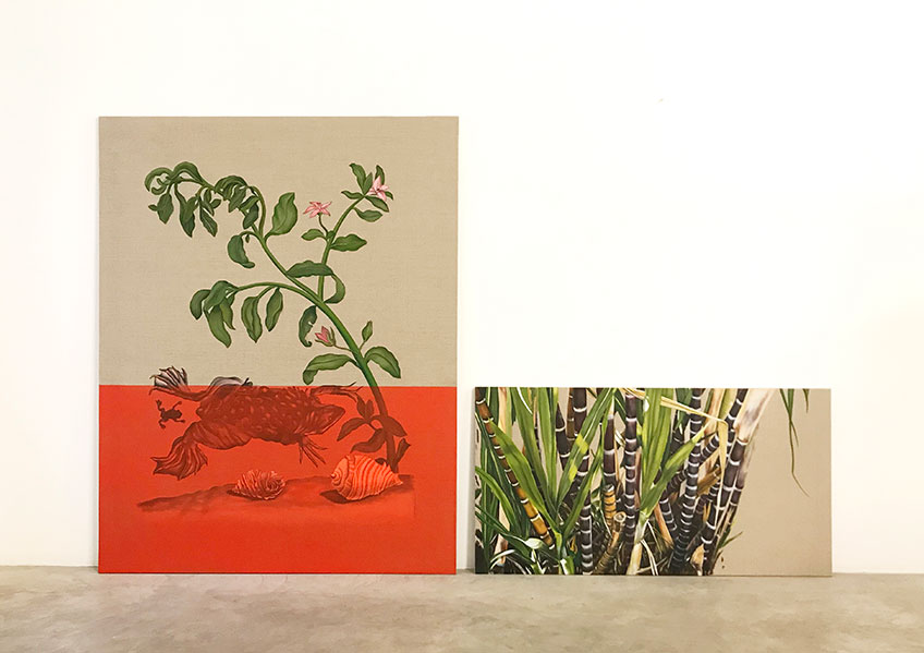 Gabriela Bettini. Saccharum officinarum, 2018. 145 x 114 y 60 x 114 cm Óleo sobre lino