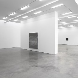 Jason Martin. Lisson Gallery, Nueva York