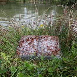 Basia Irland. Geleenbeek Pond Book (Limburg, The Netherlands), 2015 Fotografía: Bert Janssen. Musac, exposición Hybris, hasta el 4 de febrero de 2018