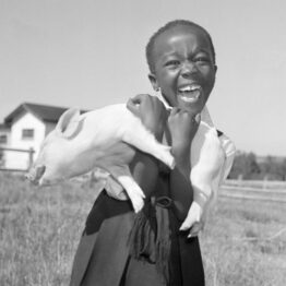 Jurgen Schadeberg, violencia y embrujo de Sudáfrica