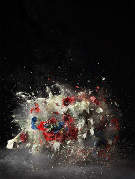 Ori Gersht. Blow up: untitled 5, 2007