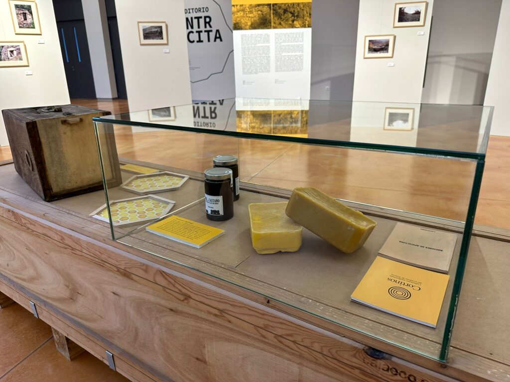 La Recicladora Cultural