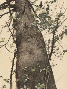 Andrew Wyeth. El roble, 1944. National Gallery of Art, donación de Edward Hyde Cox