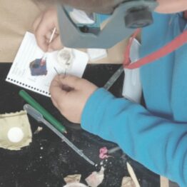 Guardianes del patrimonio. Fundación Amigos del Museo Nacional Centro de Arte Reina Sofía