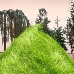 Ciclo de cine Artes de la tierra. Museo Guggenheim Bilbao