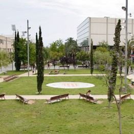 Cuatro Auxiliares de Archivos, Bibliotecas y Museos en la Universidad Politécnica de Valencia