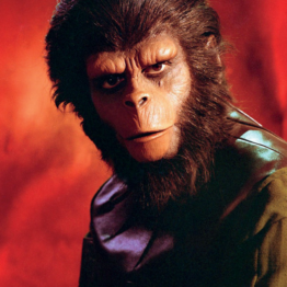 Cine y ciencia IX. Aprendiendo a conectar. Museo de Bellas Artes de Bilbao