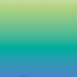 El museo como caja de resonancia. Museo de Bellas Artes de Bilbao