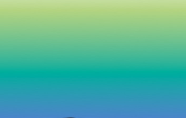 El museo como caja de resonancia. Museo de Bellas Artes de Bilbao