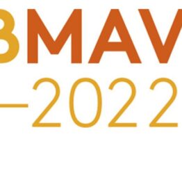 BMAV 2022. Bienal de Mujeres en las Artes Visuales