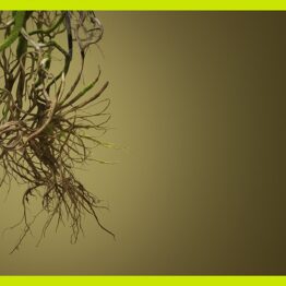 Cuánta, cuánta guerra. CCCB