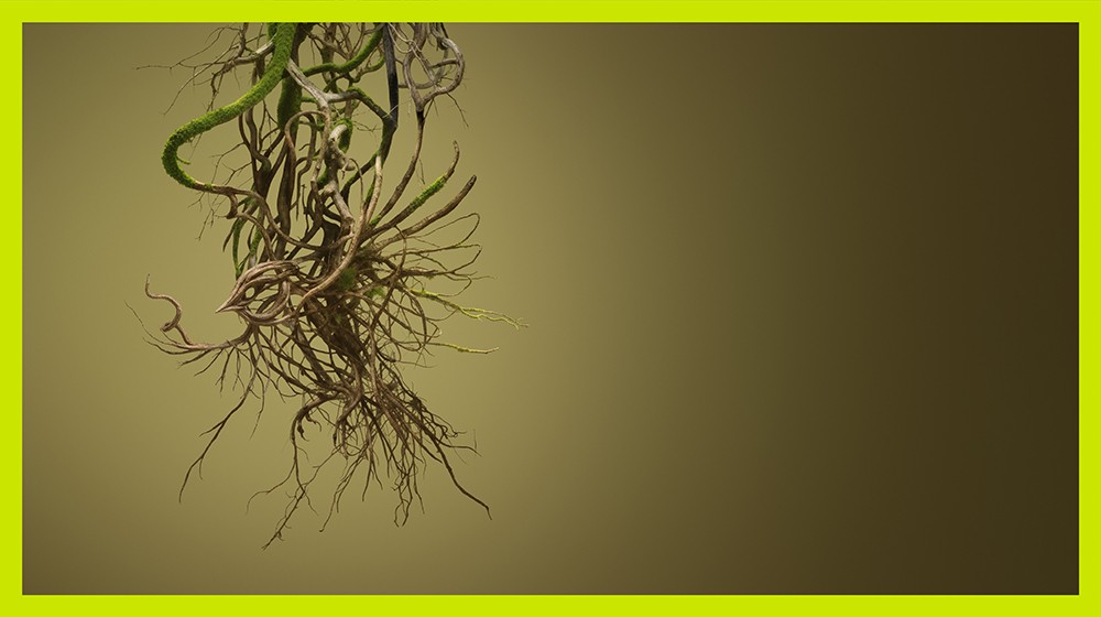 Cuánta, cuánta guerra. CCCB