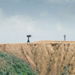 Ai Weiwei. Ciclo de cine. MUSAC León