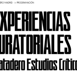 Matadero Estudios Críticos: Experiencias curatoriales