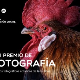Premio de Fotografía Fundación ENAIRE 2024
