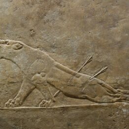 La leona herida, siglo VII a.C. Palacio de Asurbanipal. British Museum