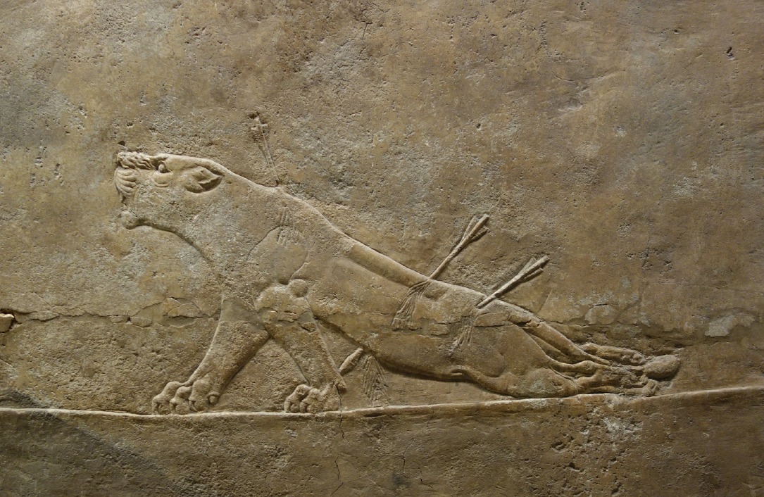 La leona herida, siglo VII a.C. Palacio de Asurbanipal. British Museum