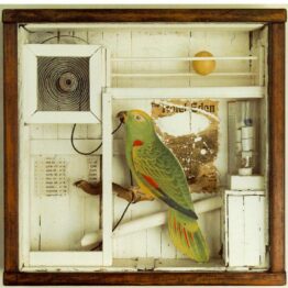 Joseph Cornell: crear burbujas en Utopía Parkway