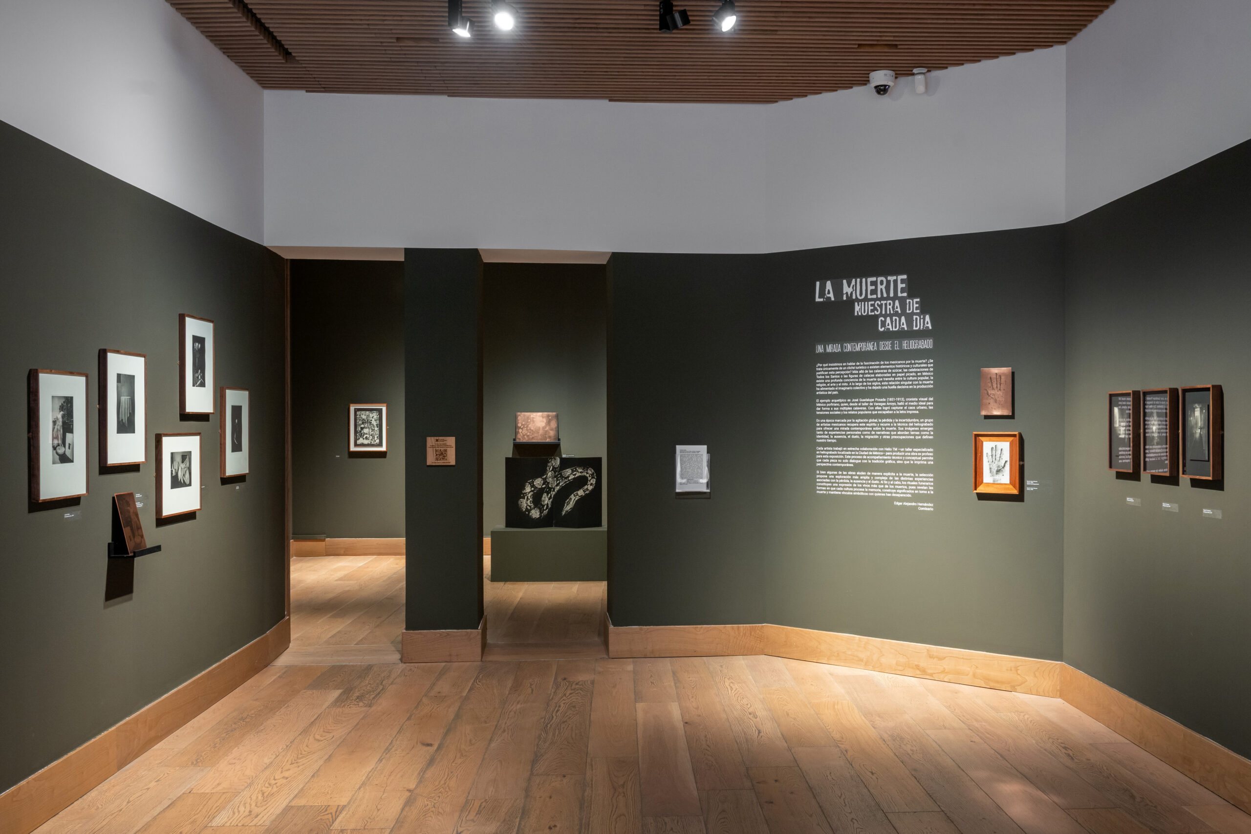 La muerte nuestra de cada día: una mirada contemporánea desde el heliograbado. Fundación Casa de México en España, 2026