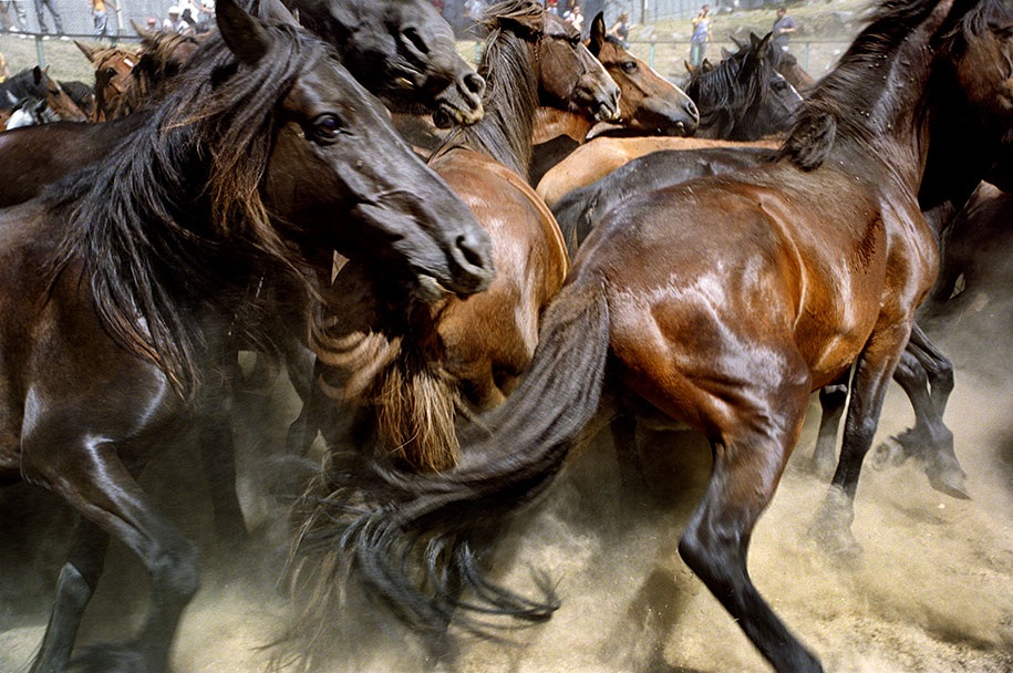 Cristóbal Hara. Amil, España, 2005