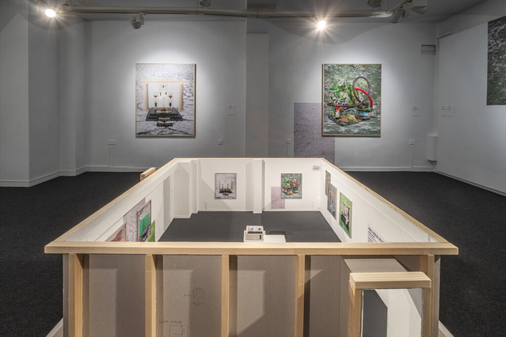 Alba Ruiz Lafuente. Exposición "Por el ocio de los insectos trabajadores". ESDIR Logroño, 2024