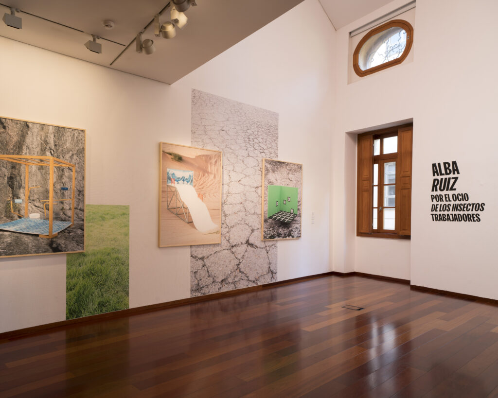Alba Ruiz Lafuente. Exposición Por el ocio de los insectos trabajadores, La Llotja del Cànem, Castellón. Festival Imaginaria, 2025