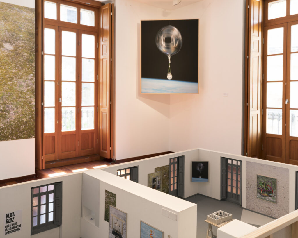 Alba Ruiz Lafuente. Exposición "Por el ocio de los insectos trabajadores". La Llotja del Cànem, Castellón. Festival Imaginaria, 2025