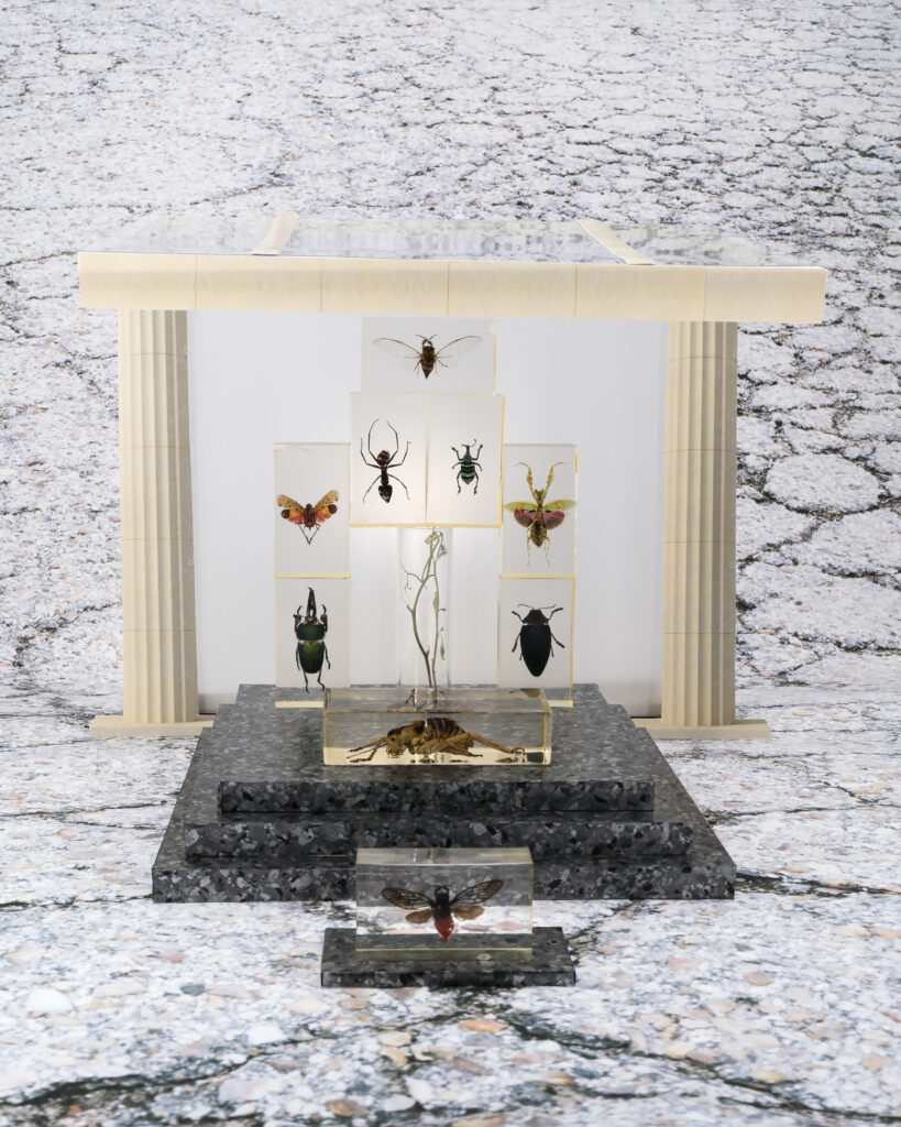 Alba Ruiz Lafuente. Museo antropológico, de la serie Por el ocio de los insectos trabajadores, 2024