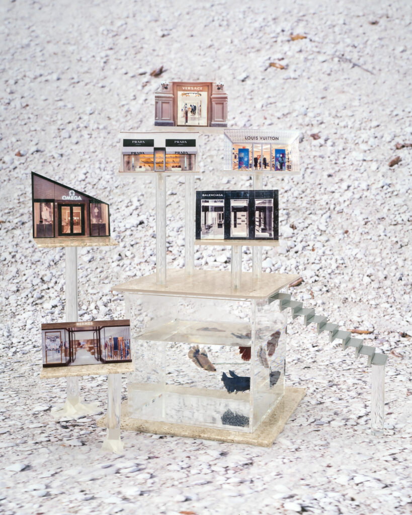 Alba Ruiz Lafuente. Centro comercial, de la serie Por el ocio de los insectos trabajadores, 2024