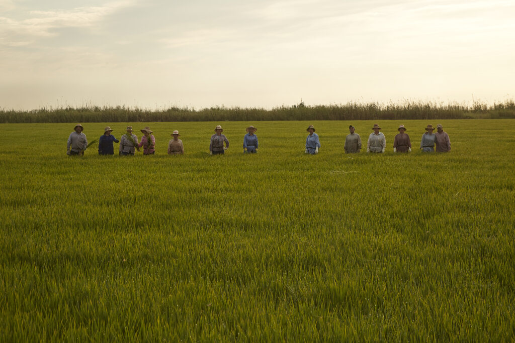 Alicia Palacios-Ferri