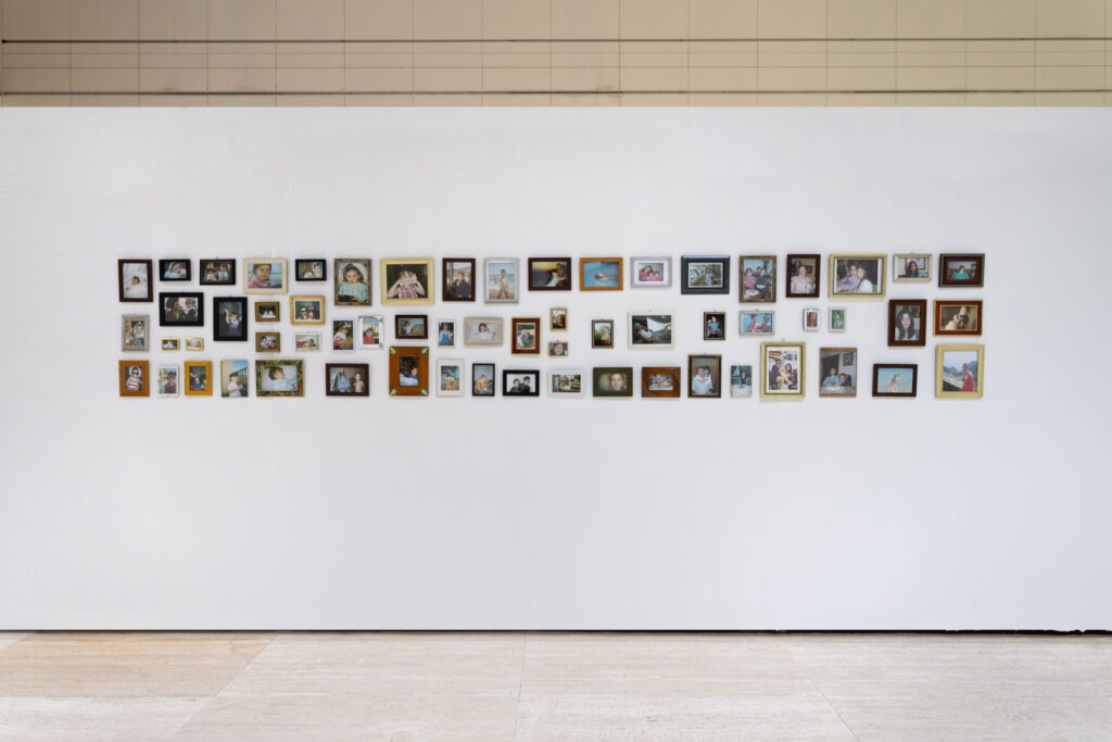 Alicia Palacios-Ferri