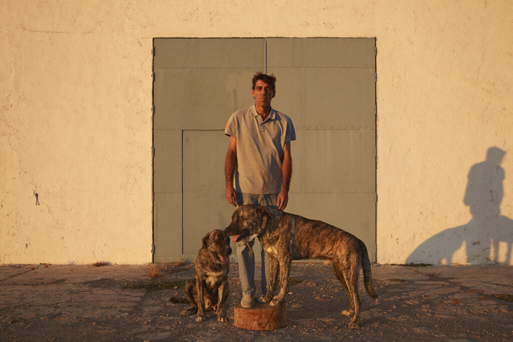 Alicia Palacios-Ferri